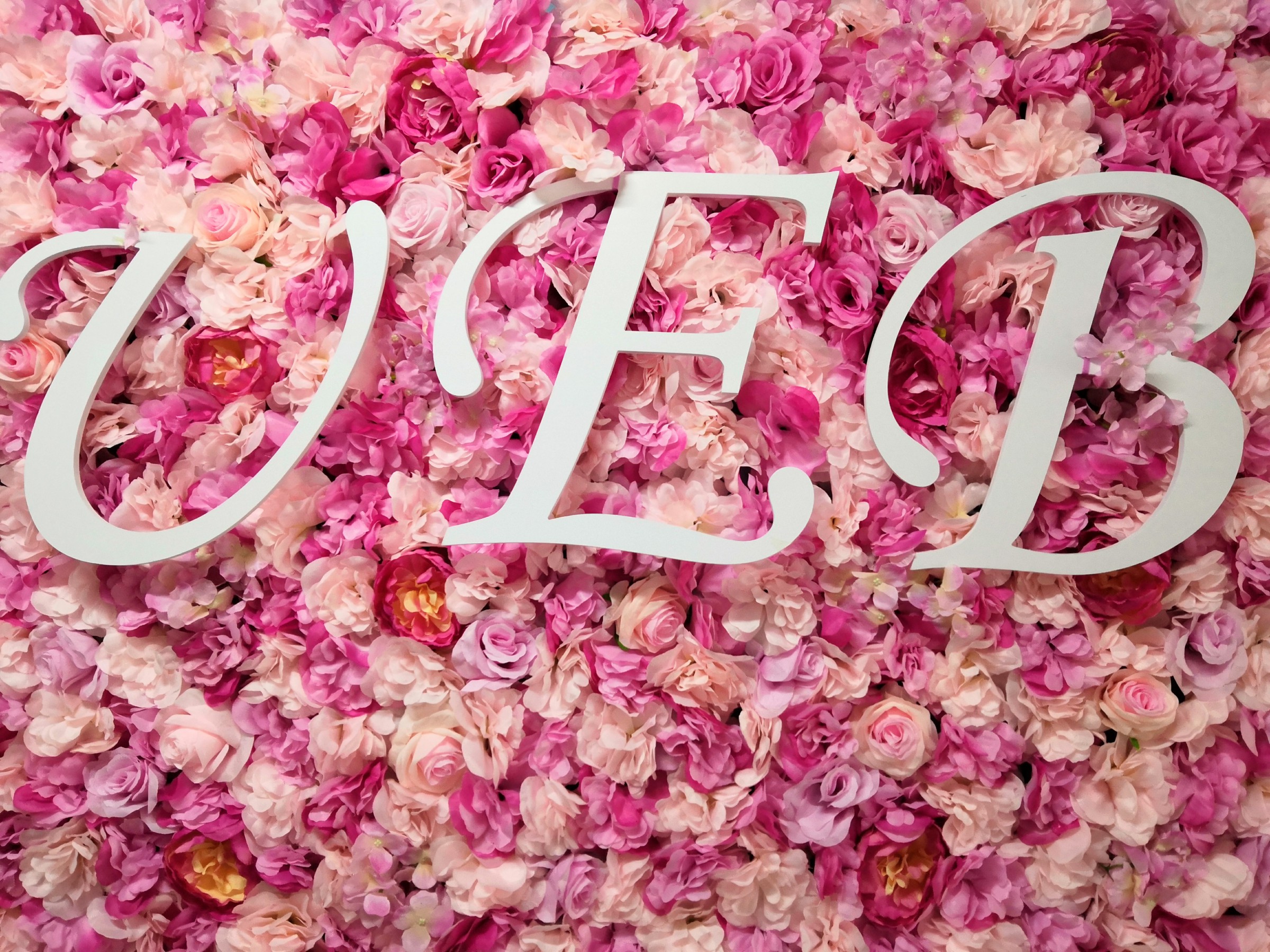 佰利乐·(中国区)有限公司官网